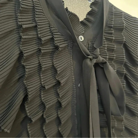 BAILEY / 44 Black Sheer Ruffle Long Sleeve Blouse Womens Small - Picture 5 of 8